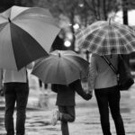 Michigan Umbrella Liability Insurance